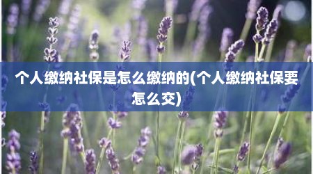 个人缴纳社保是怎么缴纳的(个人缴纳社保要怎么交)