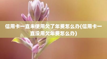 信用卡一直未使用欠了年费怎么办(信用卡一直没用欠年费怎么办)