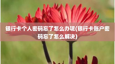 银行卡个人密码忘了怎么办呢(银行卡账户密码忘了怎么解决)