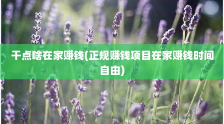 干点啥在家赚钱(正规赚钱项目在家赚钱时间自由)
