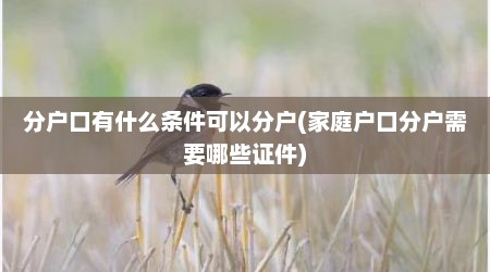 分户口有什么条件可以分户(家庭户口分户需要哪些证件)