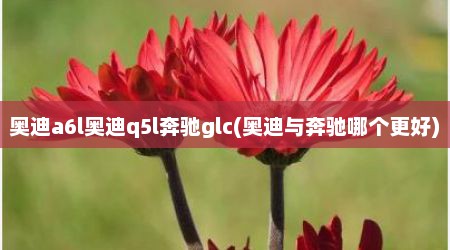 奥迪a6l奥迪q5l奔驰glc(奥迪与奔驰哪个更好)