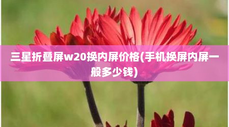 三星折叠屏w20换内屏价格(手机换屏内屏一般多少钱)
