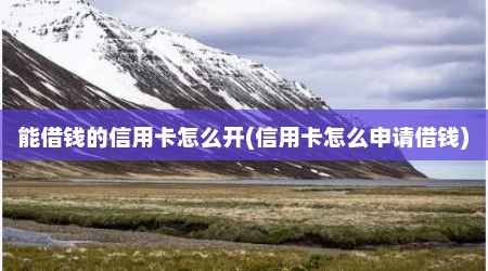 能借钱的信用卡怎么开(信用卡怎么申请借钱)