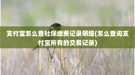 支付宝怎么查社保缴费记录明细(怎么查询支付宝所有的交易记录)