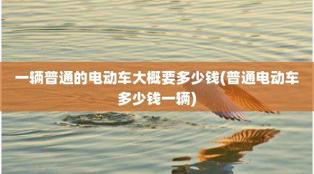 一辆普通的电动车大概要多少钱(普通电动车多少钱一辆)