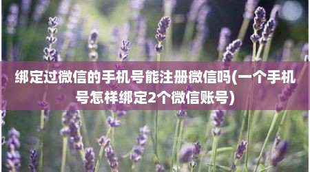 绑定过微信的手机号能注册微信吗(一个手机号怎样绑定2个微信账号)