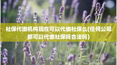 社保代缴机构现在可以代缴社保么(任何公司都可以代缴社保吗合法吗)