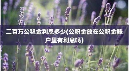 二百万公积金利息多少(公积金放在公积金账户里有利息吗)
