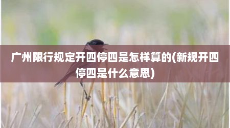 广州限行规定开四停四是怎样算的(新规开四停四是什么意思)