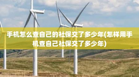 手机怎么查自己的社保交了多少年(怎样用手机查自己社保交了多少年)