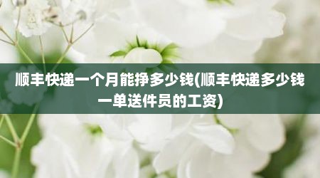 顺丰快递一个月能挣多少钱(顺丰快递多少钱一单送件员的工资)