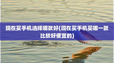 现在买手机选择哪款好(现在买手机买哪一款比较好便宜的)