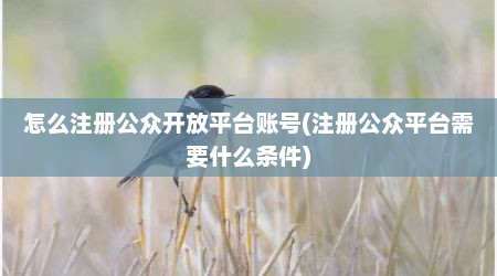 怎么注册公众开放平台账号(注册公众平台需要什么条件)