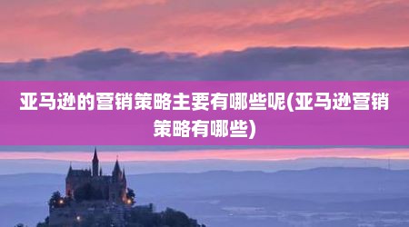 亚马逊的营销策略主要有哪些呢(亚马逊营销策略有哪些)