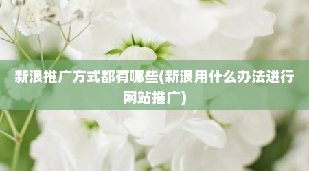 新浪推广方式都有哪些(新浪用什么办法进行网站推广)