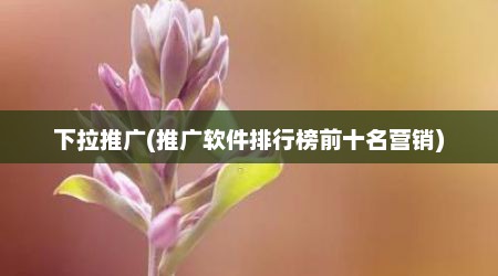 下拉推广(推广软件排行榜前十名营销)