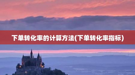 下单转化率的计算方法(下单转化率指标)