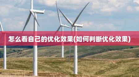 怎么看自己的优化效果(如何判断优化效果)