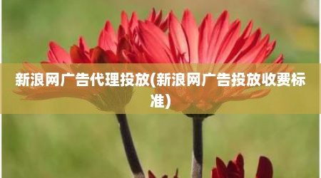 新浪网广告代理投放(新浪网广告投放收费标准)