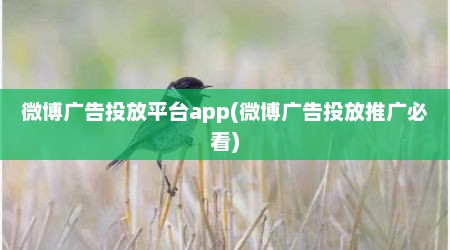 微博广告投放平台app(微博广告投放推广必看)