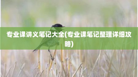 专业课讲义笔记大全(专业课笔记整理详细攻略)