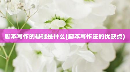 脚本写作的基础是什么(脚本写作法的优缺点)