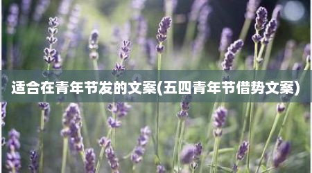 适合在青年节发的文案(五四青年节借势文案)