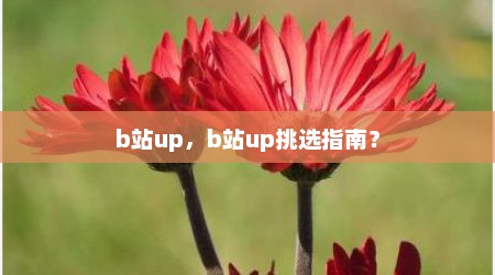 b站up，b站up挑选指南？