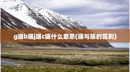 g端b端j端c端什么意思(端与版的区别)