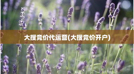 大搜竞价代运营(大搜竞价开户)