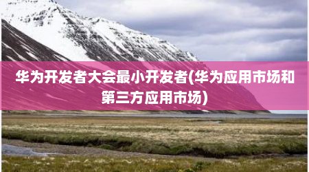 华为开发者大会最小开发者(华为应用市场和第三方应用市场)