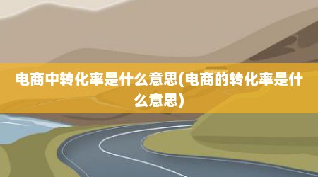 电商中转化率是什么意思(电商的转化率是什么意思)