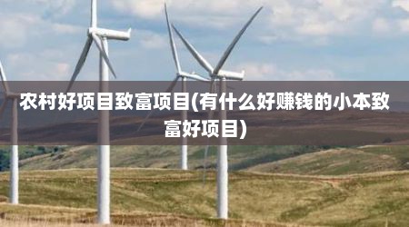 农村好项目致富项目(有什么好赚钱的小本致富好项目)