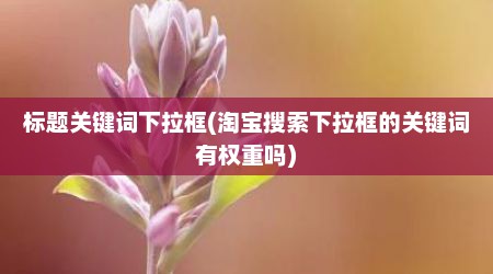 标题关键词下拉框(淘宝搜索下拉框的关键词有权重吗)