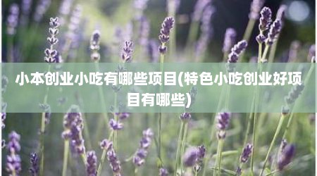 小本创业小吃有哪些项目(特色小吃创业好项目有哪些)