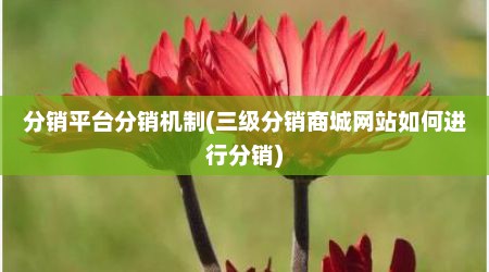 分销平台分销机制(三级分销商城网站如何进行分销)