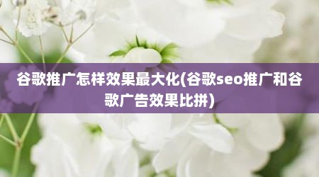 谷歌推广怎样效果最大化(谷歌seo推广和谷歌广告效果比拼)