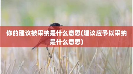 你的建议被采纳是什么意思(建议应予以采纳是什么意思)