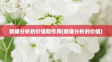 数据分析的价值和作用(数据分析的价值)