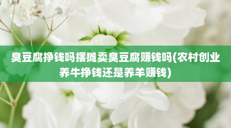 臭豆腐挣钱吗摆摊卖臭豆腐赚钱吗(农村创业养牛挣钱还是养羊赚钱)
