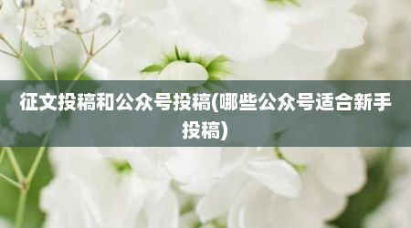 征文投稿和公众号投稿(哪些公众号适合新手投稿)