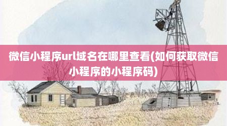 微信小程序url域名在哪里查看(如何获取微信小程序的小程序码)