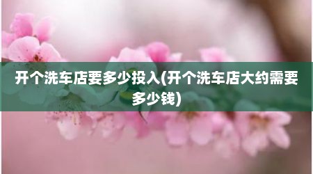 开个洗车店要多少投入(开个洗车店大约需要多少钱)