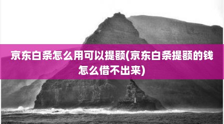京东白条怎么用可以提额(京东白条提额的钱怎么借不出来)