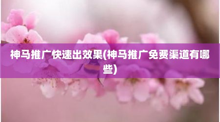 神马推广快速出效果(神马推广免费渠道有哪些)