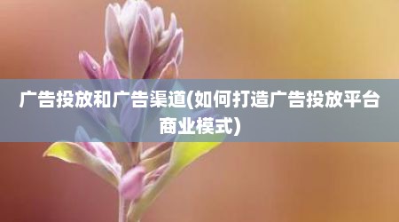 广告投放和广告渠道(如何打造广告投放平台商业模式)