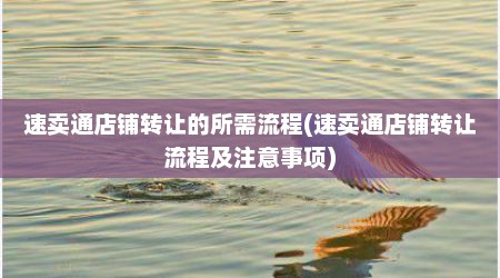 速卖通店铺转让的所需流程(速卖通店铺转让流程及注意事项)