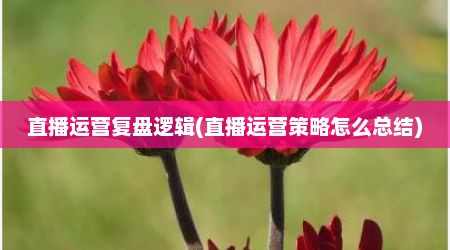 直播运营复盘逻辑(直播运营策略怎么总结)