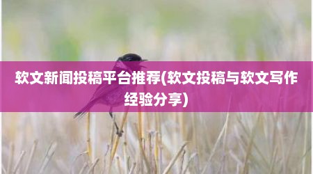 软文新闻投稿平台推荐(软文投稿与软文写作经验分享)